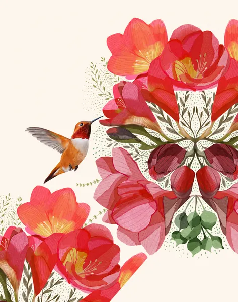 Hummingbird and Flowers by Katie O'Shea