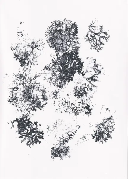Organic Botanical Shapes by Maira Ribena
