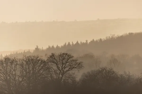 Fading Horizons 6 by Mareike Böhmer