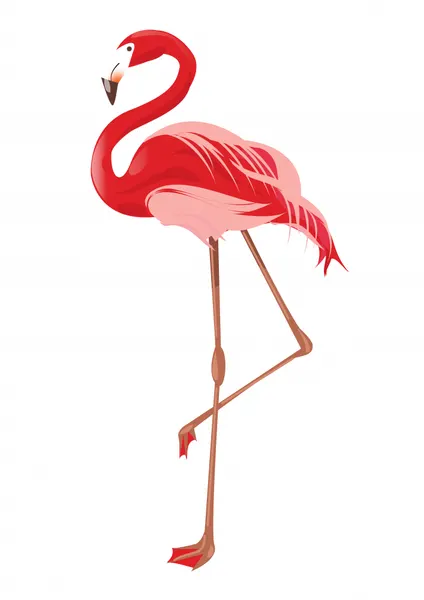 Vibrant Pink Flamingo by Nicholas