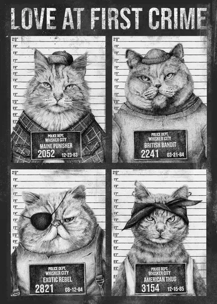 Love At First Crime by Mike Koubou