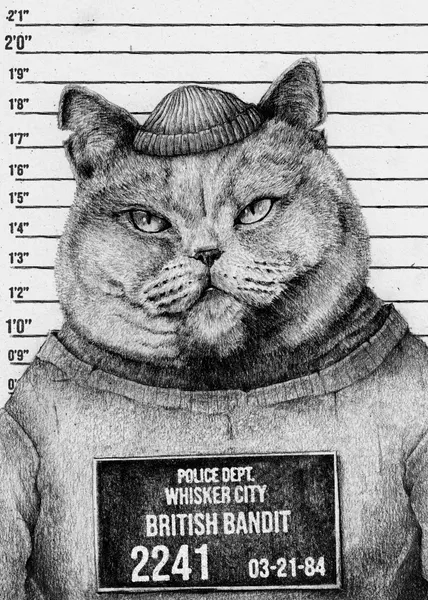Cat In A Police Lineup by Mike Koubou