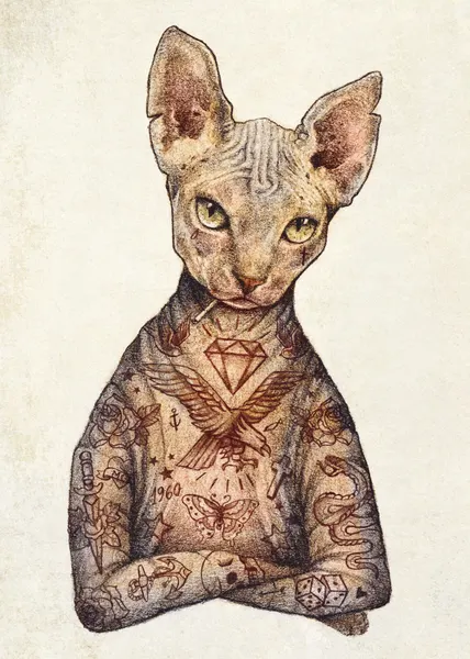 Stylish Tattoo Cat by Mike Koubou