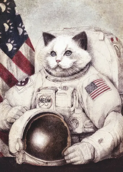 Meow Out of Space by Mike Koubou