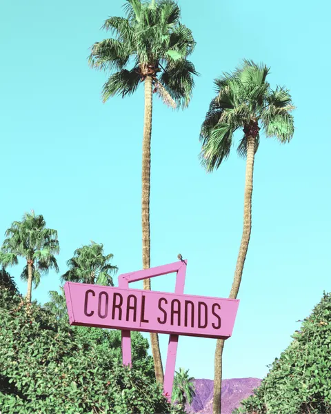 Retro Paradise Vibes by Tom Windeknecht