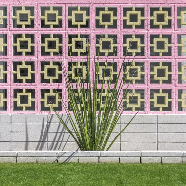 Mid-Century Breeze Block Wall with Cactus in Palm Springs, California by Tom Windeknecht
