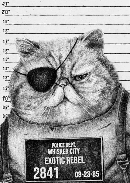 Cat With An Eye Patch by Mike Koubou