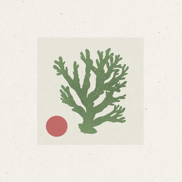 Coral and Sun by THE MIUUS STUDIO