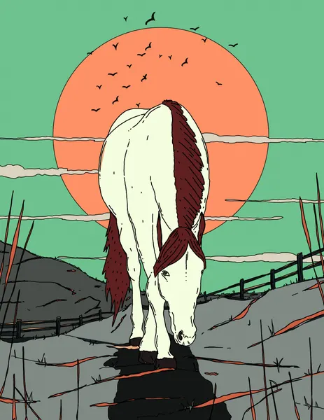 White Horse Sunset Path by Nicholas