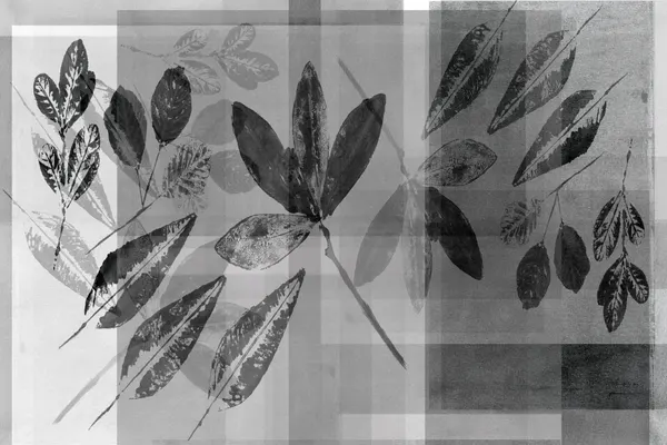 Monochrome Botanical Layers by cartissi