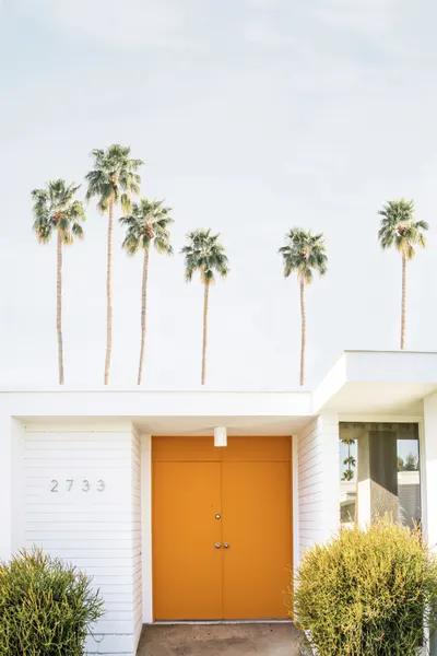 Palm Springs 1 by Kathrin Pienaar