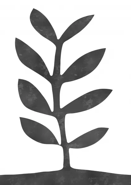 Organic Plant Study by Bainai