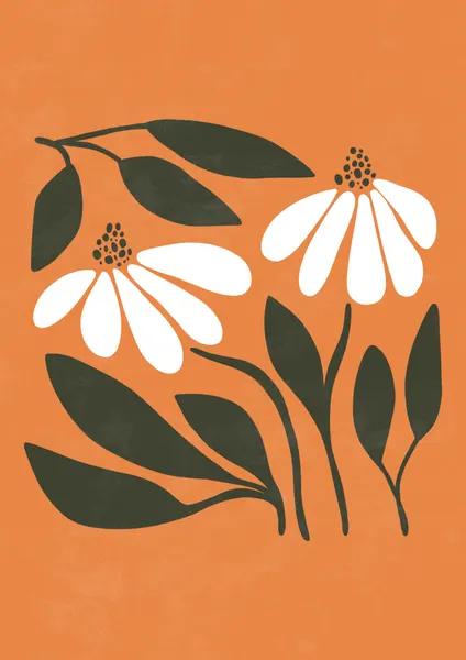 Modern Daisy Duo by Bainai