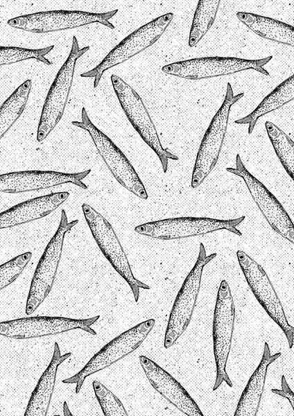 School of Fish by Nicholas