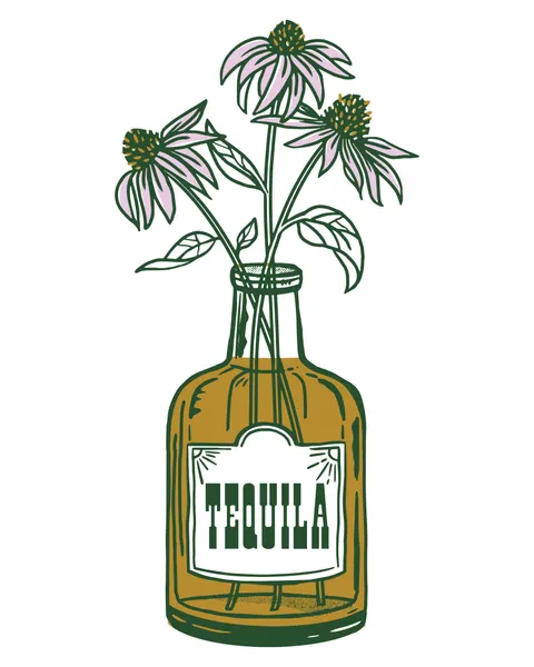 Tequila Potted Florals by The Whiskey Ginger