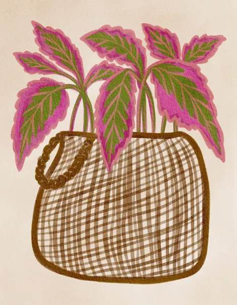 Colorful Potted Plant by Nikita Jariwala