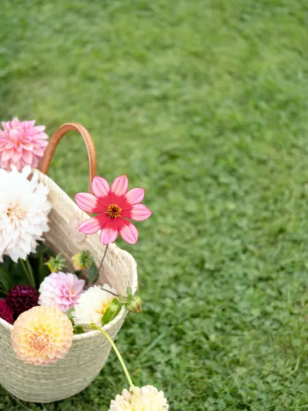 Colorful Flowers In A Basket by Raisa Zwart
