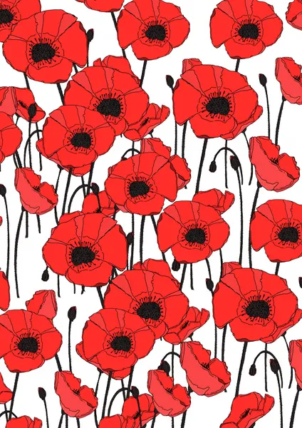 Vibrant Red Poppies by Nicholas
