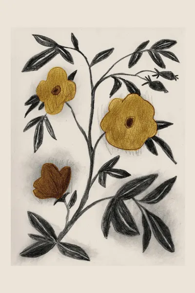 Golden Botanical Sketch by Catalina Somolinos