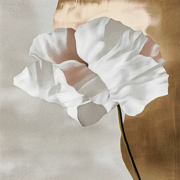 White Bloom Gold by Alma