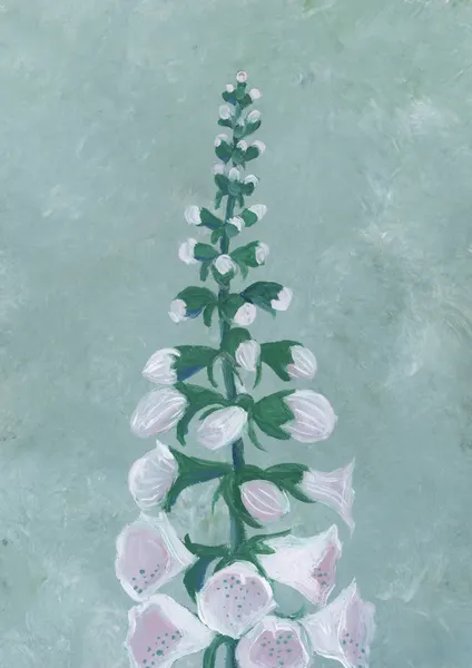 Soft Pink Foxglove by Rosana Laiz Blursbyai