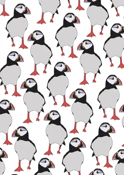 Puffins On Parade by Nicholas