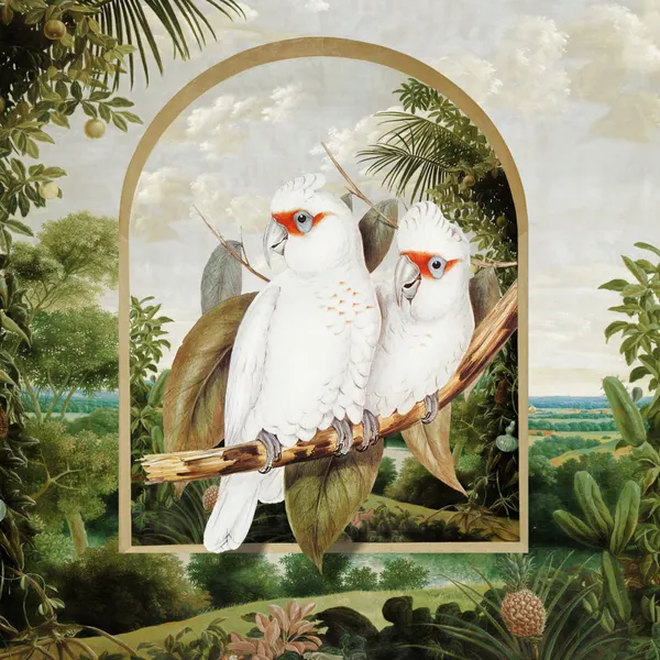 Jungle Arch White Cockatoos by Marja van den Hurk