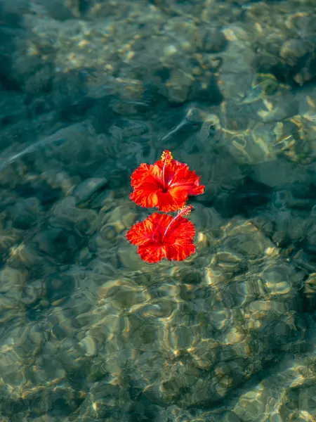 Crimson Drift by Raisa Zwart