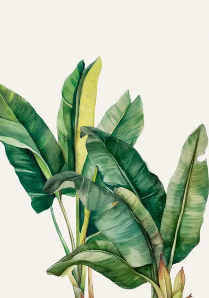 Tropical Green Leaves by Elizabeth C