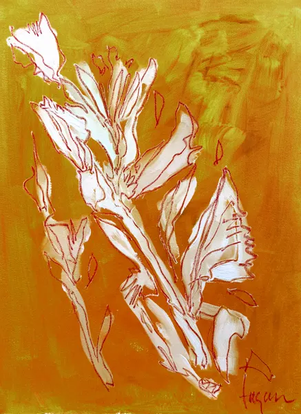 Orchid Essence by Dorothy Fagan