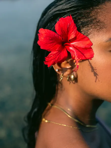 Hibiscus Serenity by Raisa Zwart