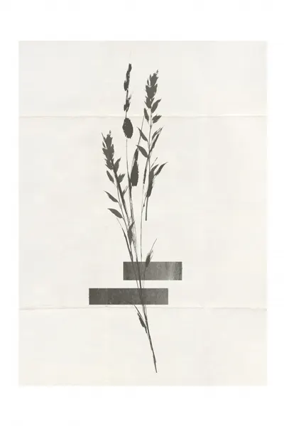 Modern Plants No.4 by THE MIUUS STUDIO