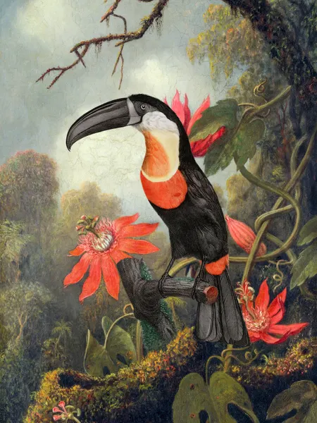 Vibrant Jungle Toucan by Marja van den Hurk