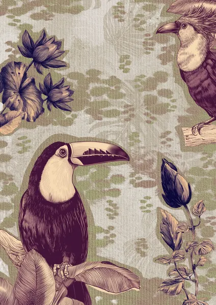 Hidden Tropics by Pictufy Studio