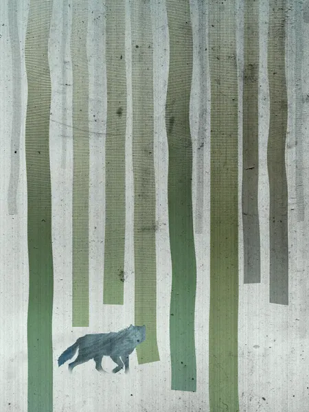 Lone Wolf Forest by Angelo Cerantola