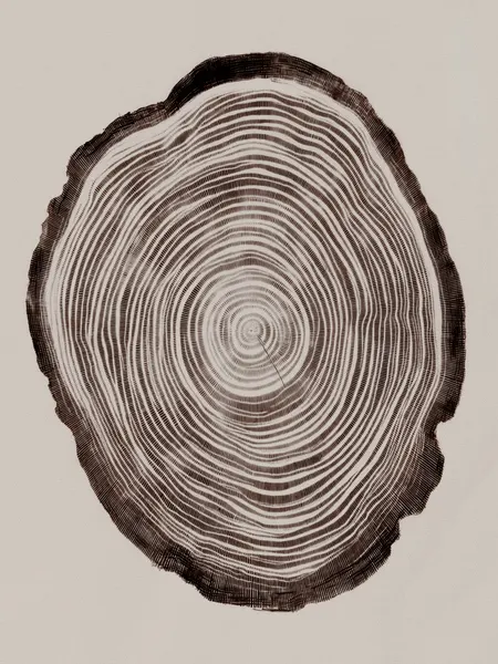 Silentarchive by Treechild