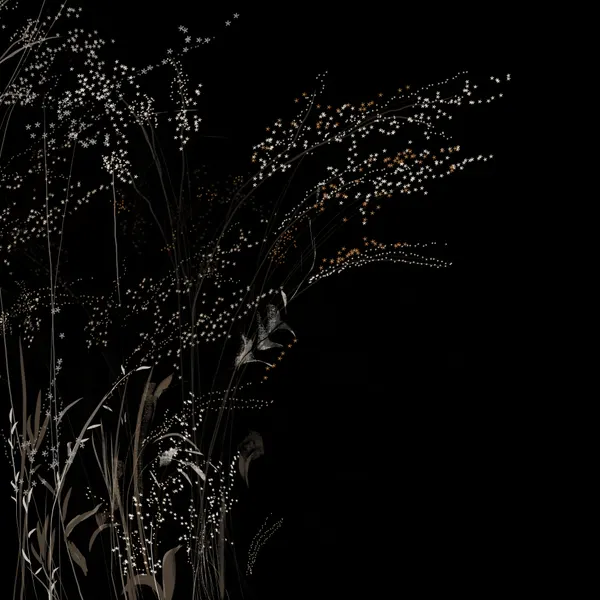Delicate Night Stems by Josie George