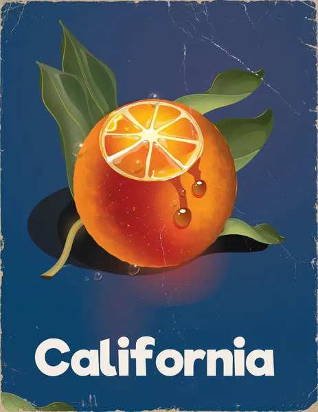 Juicy California Orange by Nicholas