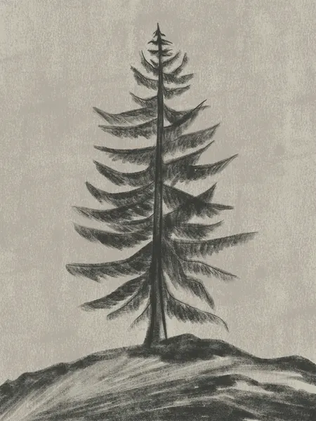 Solitary Pine Tree by Nikita Jariwala