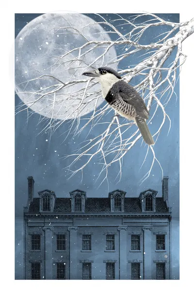 Bird Under Winter Moon by Marja van den Hurk