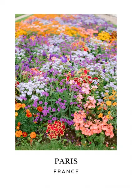 Paris Floral Travel poster by Raisa Zwart