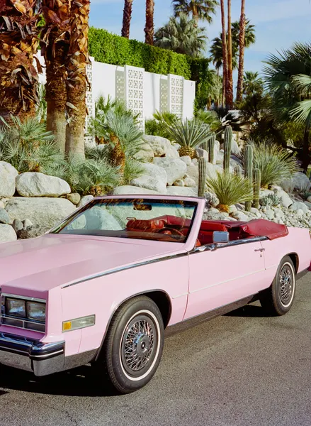 Iconic Pink Convertible by Bethany Young
