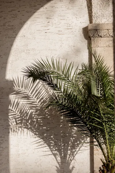 Arched Light 2 by Mareike Böhmer