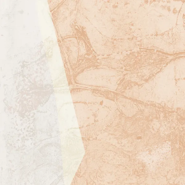 Earthy Tone Abstract by Dina Dankers
