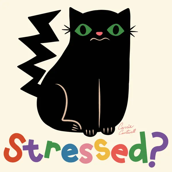 Stressed? by Carrie Cantwell