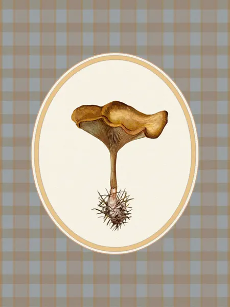 Autumn Mushroom Plaid by Wild Violets