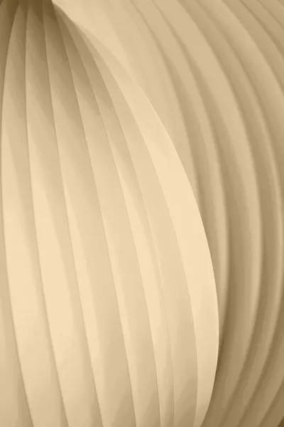 Flowing Cream Curves by Christina Sillen