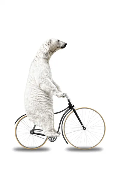 Polar Bear Bike Ride by Marja van den Hurk