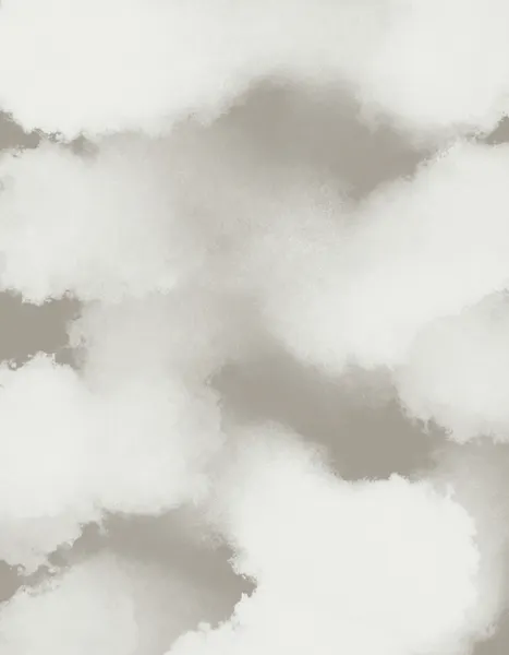 Soft Clouds Subtle Gray by Josie George