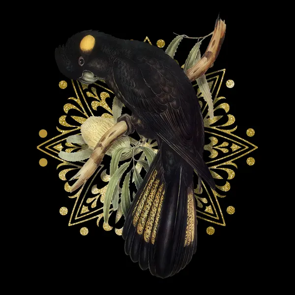 Golden Black Cockatoo by Marja van den Hurk